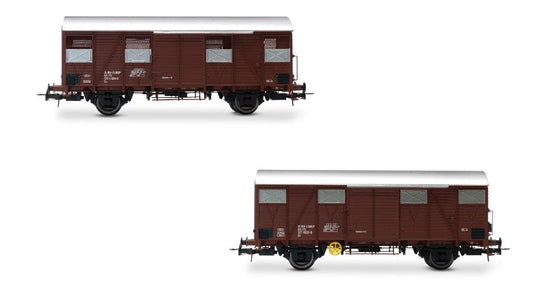 FS 2-UNIT PACK Gs WAGONS WALLS MADE FROM WOODEN PLANKS EP.IV 1:87 - Rivarossi - HR6645