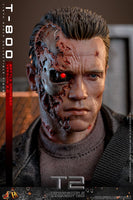 Terminator 2 - Movie Masterpiece - Action Figure - 1/6 (32 cm) - T-800 Battle - Damaged Version 2.0  - Hot Toys