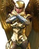 Wonder Woman 1984 Movie - Golden Armor 1:6 (30 cm)  - Action Figure - Hot Toys